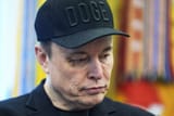 Punished Elon