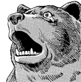 Bear Reaction
