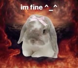 im fine