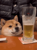 ShibaSmiley