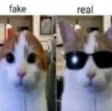 fakenreal