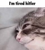 1752803954453978