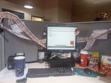 IMG_20250609_145510