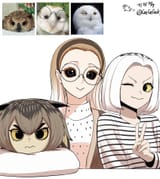 owl3