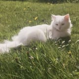 nedladdning (3)