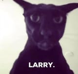 Larry……