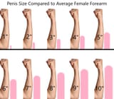 Penis Size Compared to Average Female Forearm Chart