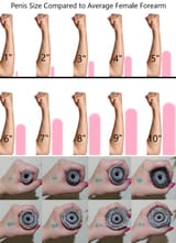 Penis references