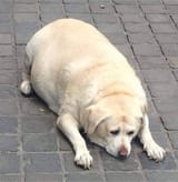 1715486576310970