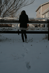AvNR