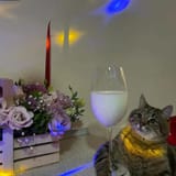 milk glass kitty