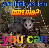 5xmm8a1ubvt91