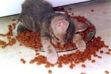 Have You Ever Been This Tired_