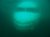 1705943474879966