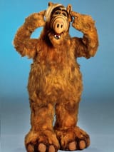 ALF