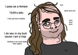 the delusional transvestite