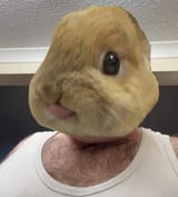 24356236453645