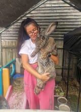 Rabbit girl 2