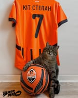 Kit-Stepan-dlya-3-shturmovoyi