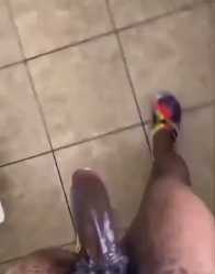 Cock_thumb.jpg