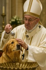 pope francis baptising a golden retreiver dog