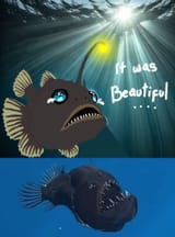 Fish beautiful