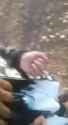 tumblr_ok42awi2YL1v2conk_thumb.jpg