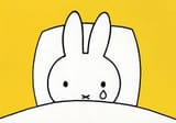 Miffy-sad