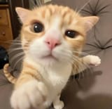 452e52acca5ad8a1ce75bd0e23faa3ef
