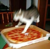 PIZZAAAA