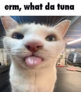 whatthetuna!!!