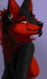 whiteblack-drache_wolf_fuchs-full2-2393444008