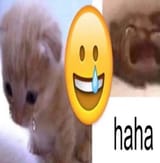 9fc557579c8c87bb0ca5dafcb439bd97