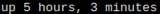 uptime