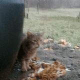 tumblr_4fdb1b80f0c4ca256d7cd685300dbe68_a354d997_400