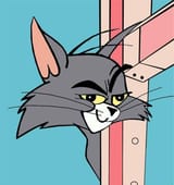 tomcat