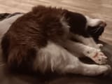 sleeping