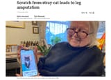 cat scratch leg amputation