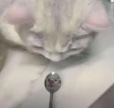 1748549532888983