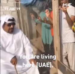 1709439155842180_thumb.jpg