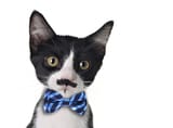 catwithbowtieandmoostash