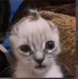WhenYouTieYourHairUp