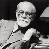 siggy scholomo
