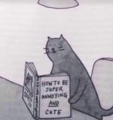 annoying and cute