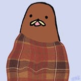(12)