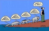 darwinisitic meaning of life