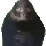 spinning-seal