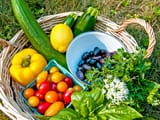 1012225Garden-Vegetable-Pasta-Salad