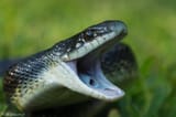 AAAAAAAAAAAAAAAAAAAAAAAAAAAA