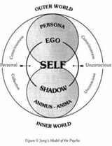 day_1_of_learning_jungian_psychology_what_is_a